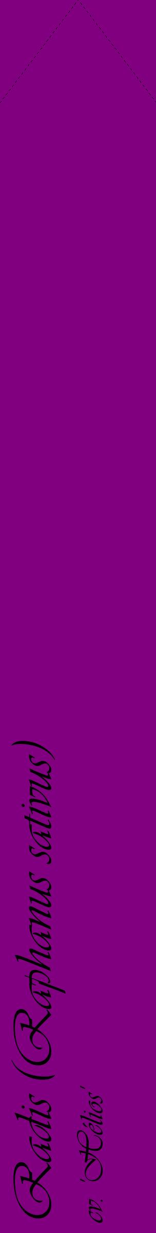 Étiquette de : Raphanus sativus cv. 'Hélios' - format c - style noire46_simpleviv avec comestibilité
