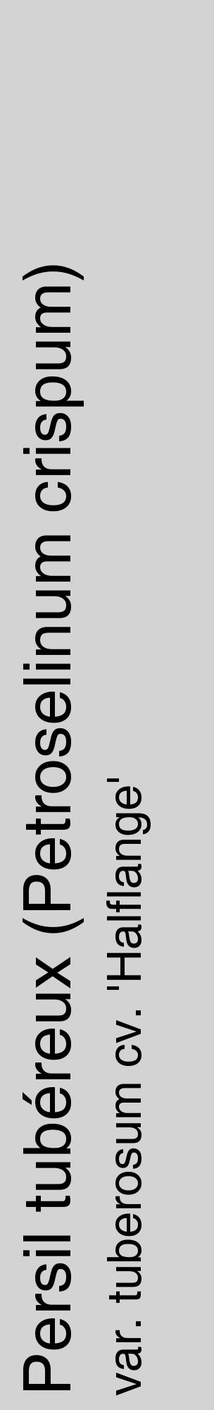 Étiquette de : Petroselinum crispum var. tuberosum cv. 'Halflange' - format c - style noire56_basiquehel avec comestibilité