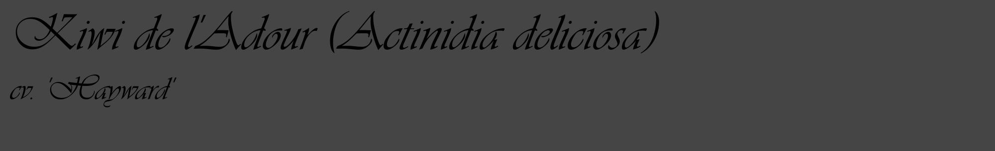 Étiquette de : Actinidia deliciosa cv. 'Hayward' - format c - style noire58_basique_basiqueviv avec comestibilité
