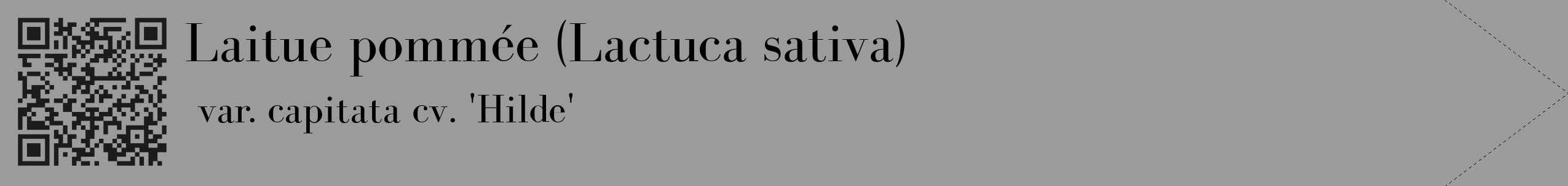 Étiquette de : Lactuca sativa var. capitata cv. 'Hilde' - format c - style noire52_simple_simplebod avec qrcode et comestibilité