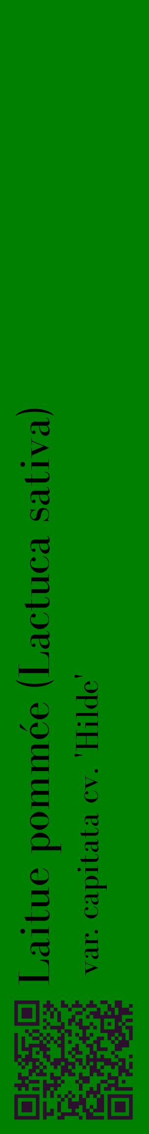 Étiquette de : Lactuca sativa var. capitata cv. 'Hilde' - format c - style noire9_basiquebod avec qrcode et comestibilité