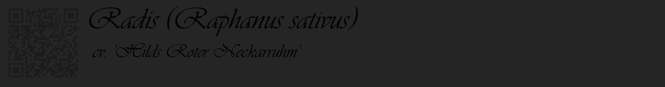 Étiquette de : Raphanus sativus cv. 'Hilds Roter Neckarruhm' - format c - style noire47_basique_basiqueviv avec qrcode et comestibilité