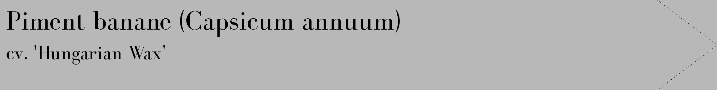 Étiquette de : Capsicum annuum cv. 'Hungarian Wax' - format c - style noire39_simple_simplebod avec comestibilité