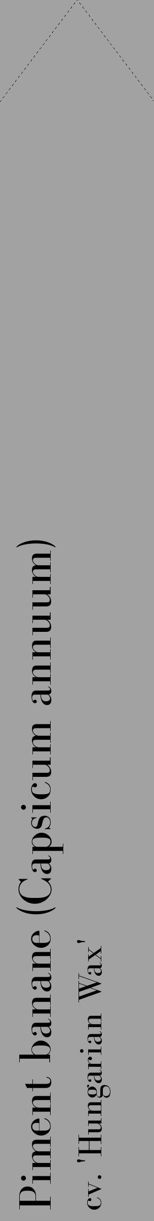 Étiquette de : Capsicum annuum cv. 'Hungarian Wax' - format c - style noire38_simple_simplebod avec comestibilité - position verticale