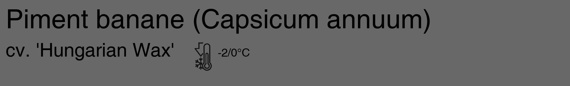 Étiquette de : Capsicum annuum cv. 'Hungarian Wax' - format c - style noire6_basique_basiquehel avec comestibilité