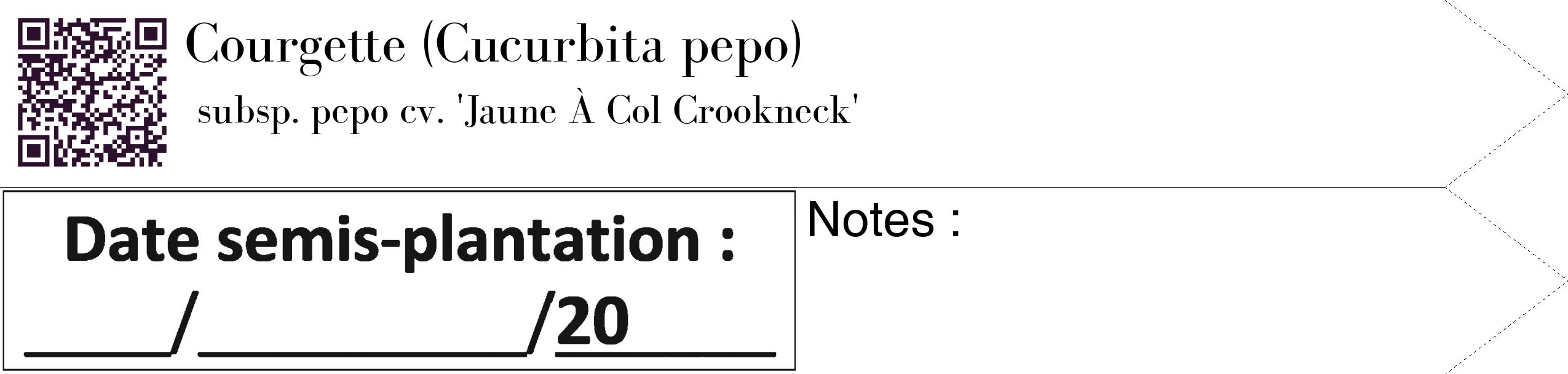 Étiquette de : Cucurbita pepo subsp. pepo cv. 'Jaune À Col Crookneck' - format c - style noire60_simple_simplebod avec qrcode et comestibilité