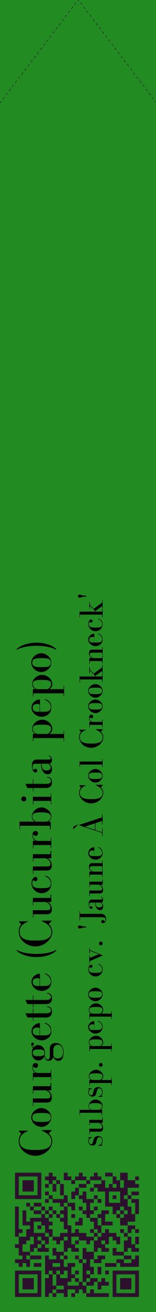 Étiquette de : Cucurbita pepo subsp. pepo cv. 'Jaune À Col Crookneck' - format c - style noire10_simplebod avec qrcode et comestibilité