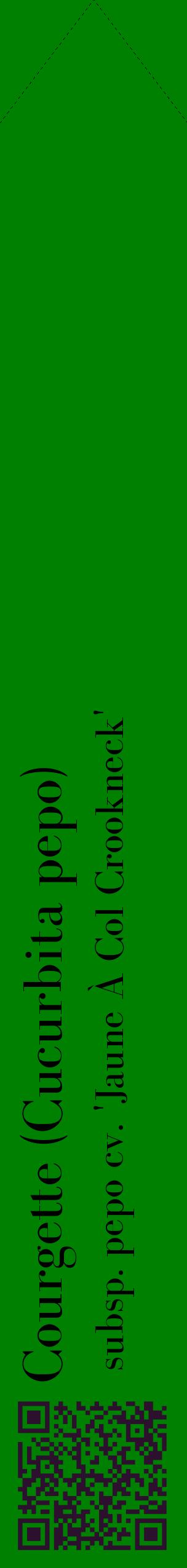 Étiquette de : Cucurbita pepo subsp. pepo cv. 'Jaune À Col Crookneck' - format c - style noire9_simplebod avec qrcode et comestibilité