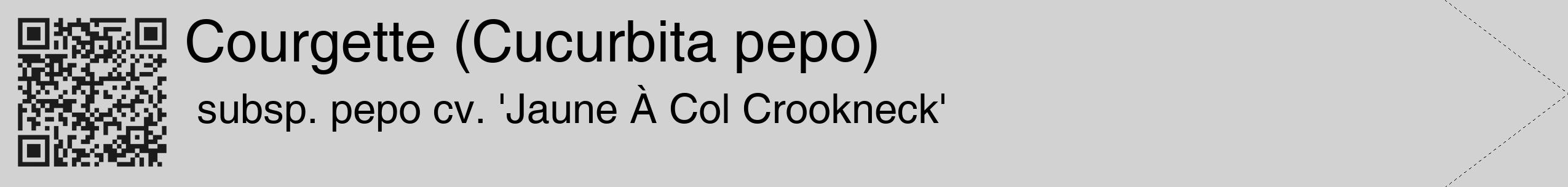Étiquette de : Cucurbita pepo subsp. pepo cv. 'Jaune À Col Crookneck' - format c - style noire14_simple_simplehel avec qrcode et comestibilité