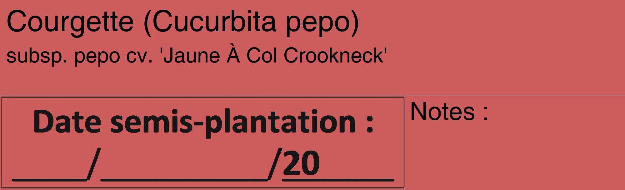 Étiquette de : Cucurbita pepo subsp. pepo cv. 'Jaune À Col Crookneck' - format c - style noire35_basique_basiquehel avec comestibilité