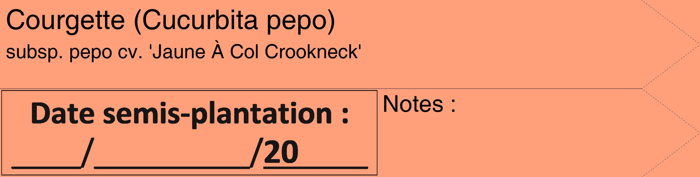 Étiquette de : Cucurbita pepo subsp. pepo cv. 'Jaune À Col Crookneck' - format c - style noire39_simple_simplehel avec comestibilité