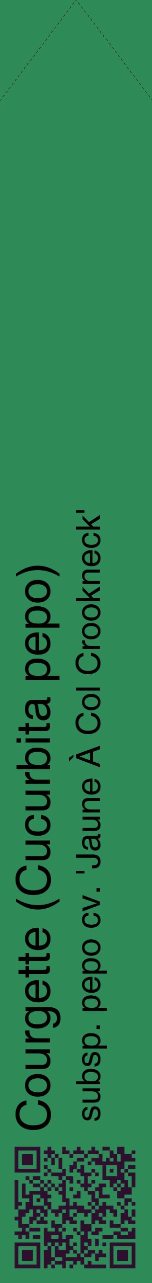 Étiquette de : Cucurbita pepo subsp. pepo cv. 'Jaune À Col Crookneck' - format c - style noire11_simplehel avec qrcode et comestibilité