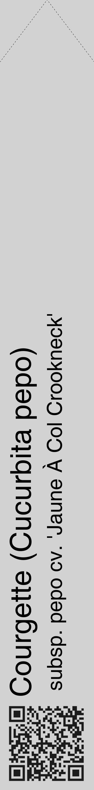 Étiquette de : Cucurbita pepo subsp. pepo cv. 'Jaune À Col Crookneck' - format c - style noire14_simple_simplehel avec qrcode et comestibilité - position verticale