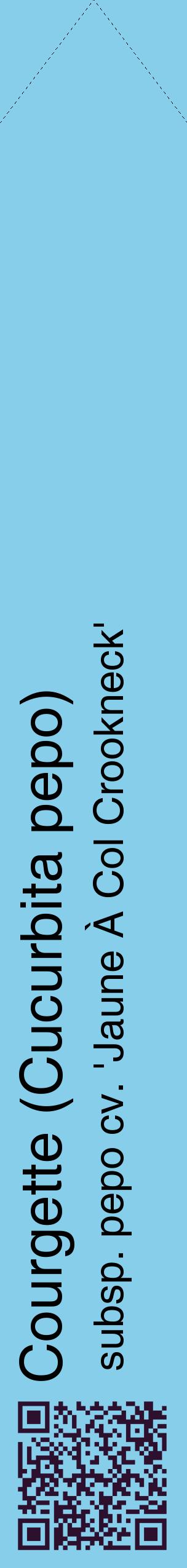 Étiquette de : Cucurbita pepo subsp. pepo cv. 'Jaune À Col Crookneck' - format c - style noire1_simplehel avec qrcode et comestibilité