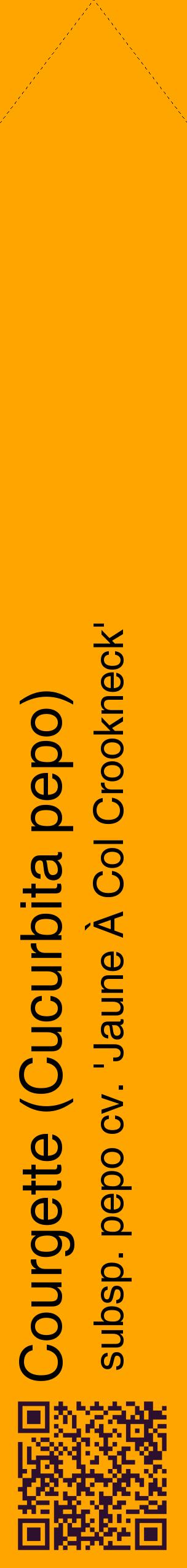Étiquette de : Cucurbita pepo subsp. pepo cv. 'Jaune À Col Crookneck' - format c - style noire22_simplehel avec qrcode et comestibilité