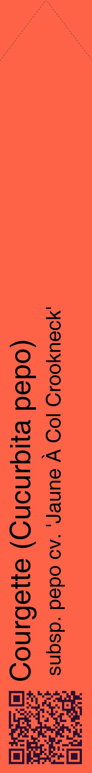 Étiquette de : Cucurbita pepo subsp. pepo cv. 'Jaune À Col Crookneck' - format c - style noire25_simplehel avec qrcode et comestibilité