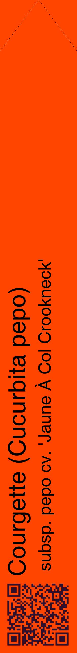Étiquette de : Cucurbita pepo subsp. pepo cv. 'Jaune À Col Crookneck' - format c - style noire26_simplehel avec qrcode et comestibilité