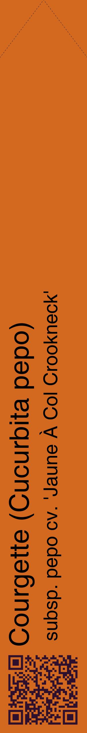 Étiquette de : Cucurbita pepo subsp. pepo cv. 'Jaune À Col Crookneck' - format c - style noire31_simplehel avec qrcode et comestibilité