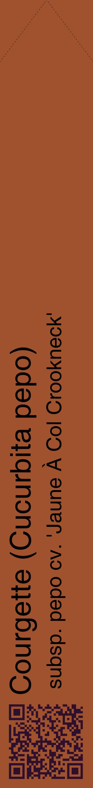 Étiquette de : Cucurbita pepo subsp. pepo cv. 'Jaune À Col Crookneck' - format c - style noire32_simplehel avec qrcode et comestibilité