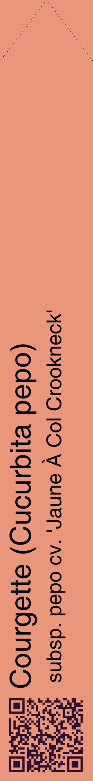 Étiquette de : Cucurbita pepo subsp. pepo cv. 'Jaune À Col Crookneck' - format c - style noire37_simplehel avec qrcode et comestibilité