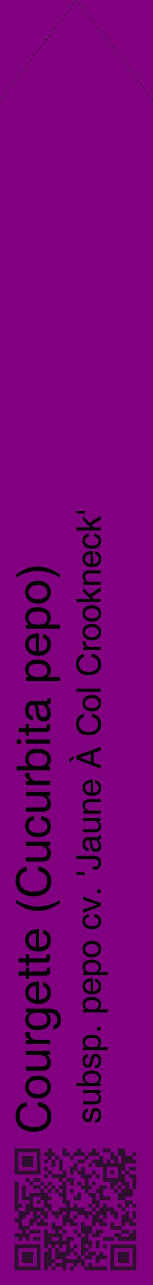 Étiquette de : Cucurbita pepo subsp. pepo cv. 'Jaune À Col Crookneck' - format c - style noire46_simplehel avec qrcode et comestibilité