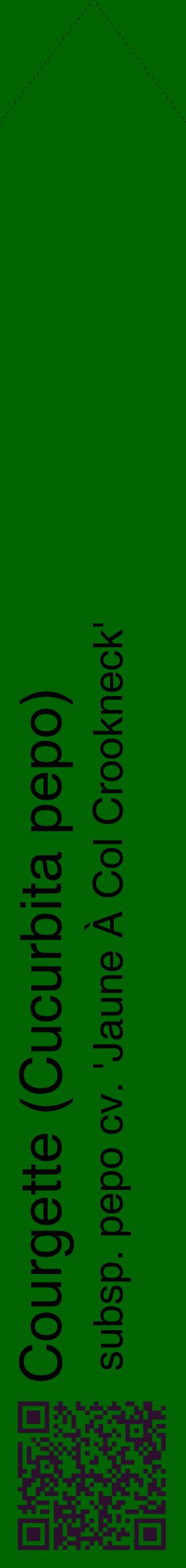 Étiquette de : Cucurbita pepo subsp. pepo cv. 'Jaune À Col Crookneck' - format c - style noire8_simplehel avec qrcode et comestibilité