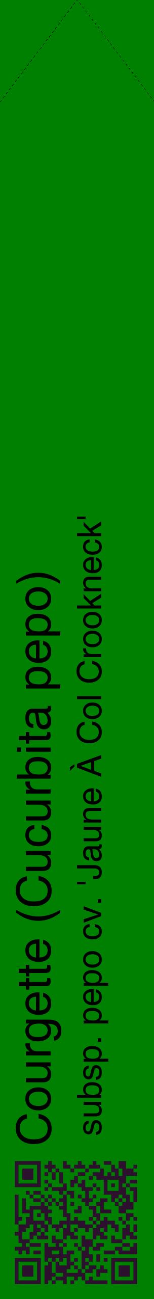 Étiquette de : Cucurbita pepo subsp. pepo cv. 'Jaune À Col Crookneck' - format c - style noire9_simplehel avec qrcode et comestibilité
