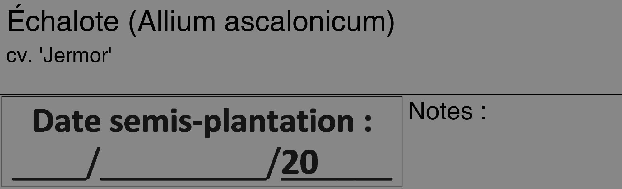 Étiquette de : Allium ascalonicum cv. 'Jermor' - format c - style noire12_basique_basiquehel avec comestibilité