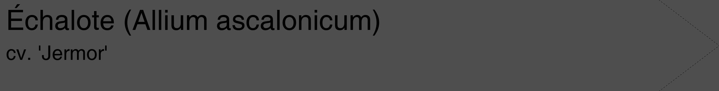 Étiquette de : Allium ascalonicum cv. 'Jermor' - format c - style noire33_simple_simplehel avec comestibilité