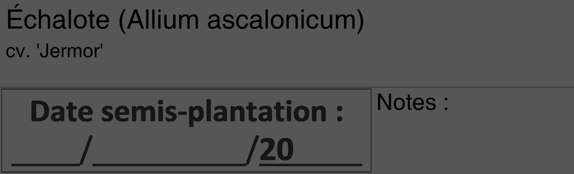 Étiquette de : Allium ascalonicum cv. 'Jermor' - format c - style noire45_basique_basiquehel avec comestibilité