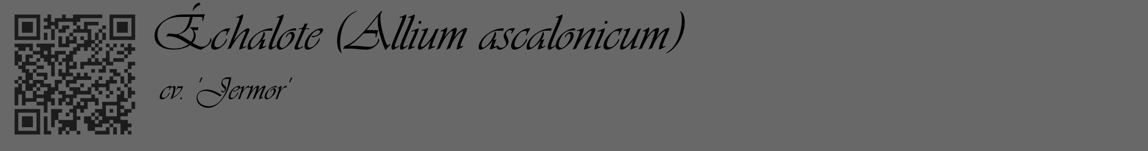 Étiquette de : Allium ascalonicum cv. 'Jermor' - format c - style noire6_basique_basiqueviv avec qrcode et comestibilité
