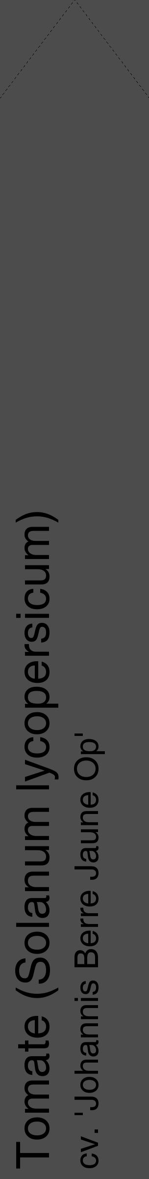 Étiquette de : Solanum lycopersicum cv. 'Johannis Berre Jaune Op' - format c - style noire27_simple_simplehel avec comestibilité - position verticale