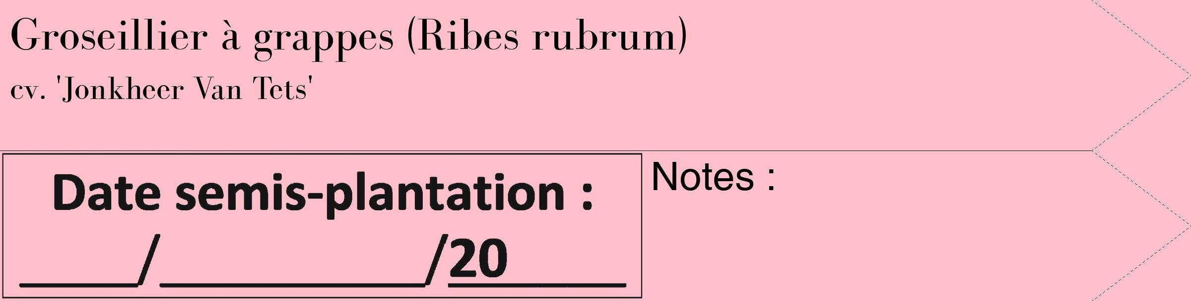 Étiquette de : Ribes rubrum cv. 'Jonkheer Van Tets' - format c - style noire40_simple_simplebod avec comestibilité