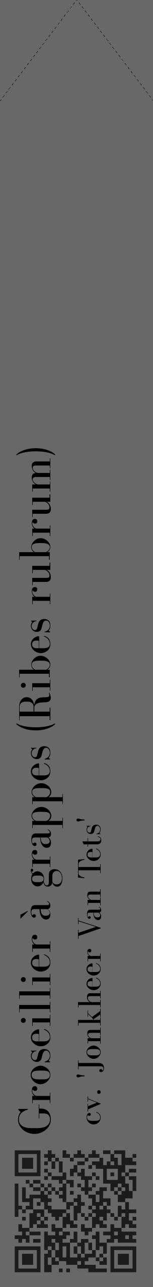 Étiquette de : Ribes rubrum cv. 'Jonkheer Van Tets' - format c - style noire43_simple_simplebod avec qrcode et comestibilité - position verticale
