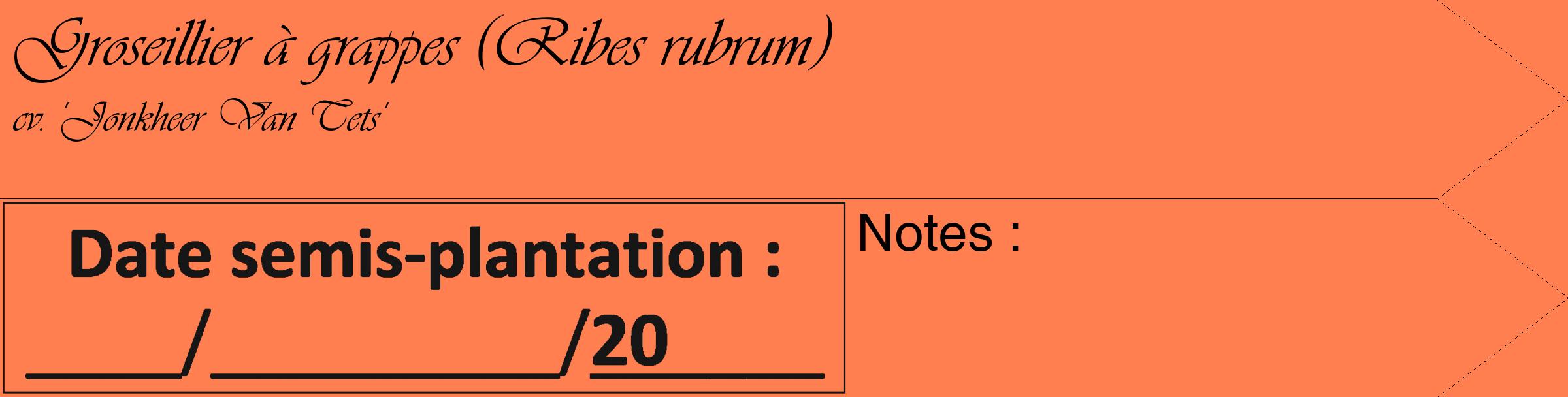 Étiquette de : Ribes rubrum cv. 'Jonkheer Van Tets' - format c - style noire24_simple_simpleviv avec comestibilité