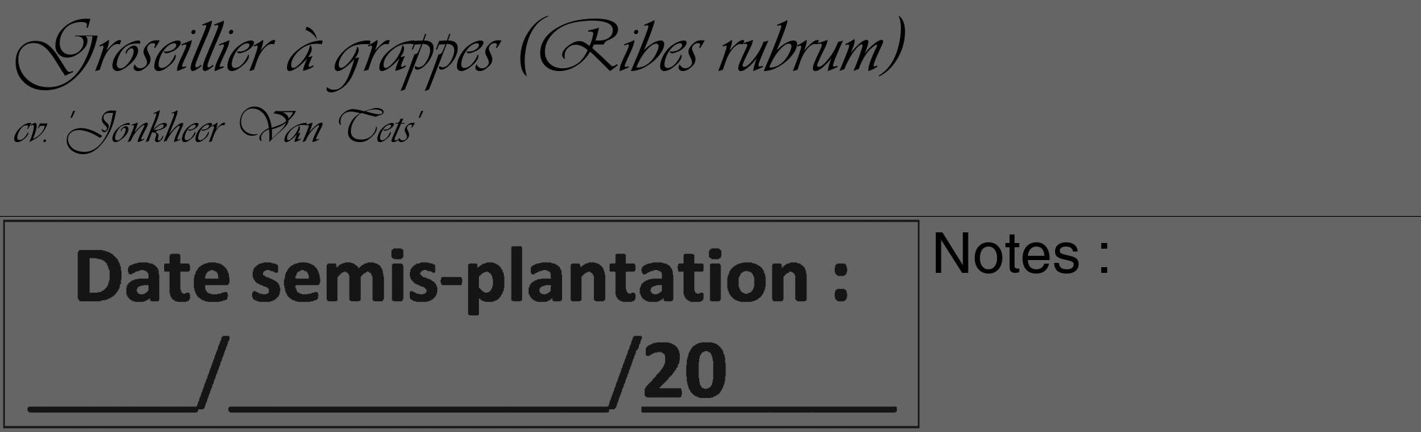 Étiquette de : Ribes rubrum cv. 'Jonkheer Van Tets' - format c - style noire32_basique_basiqueviv avec comestibilité