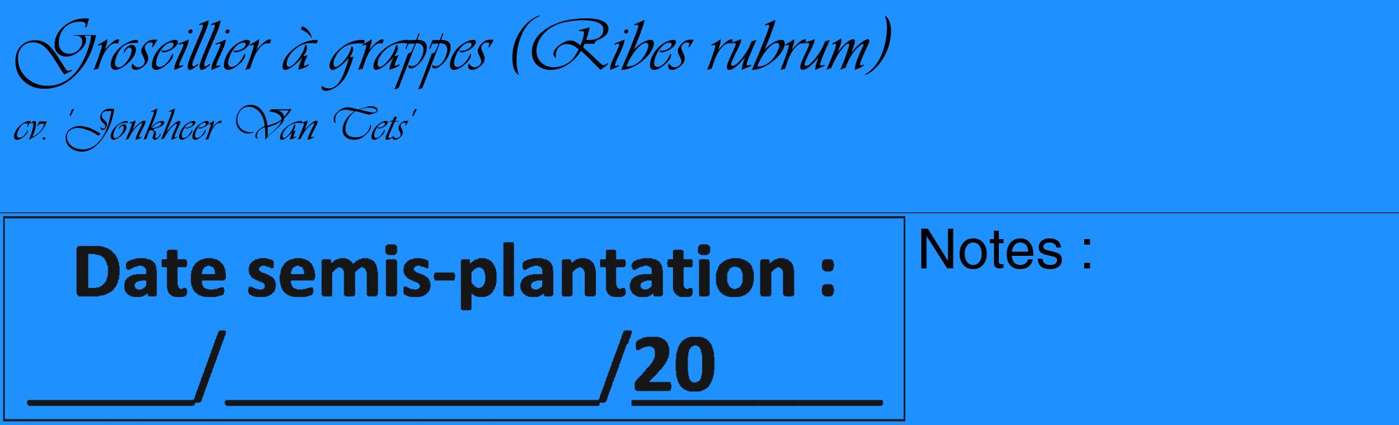 Étiquette de : Ribes rubrum cv. 'Jonkheer Van Tets' - format c - style noire3_basique_basiqueviv avec comestibilité