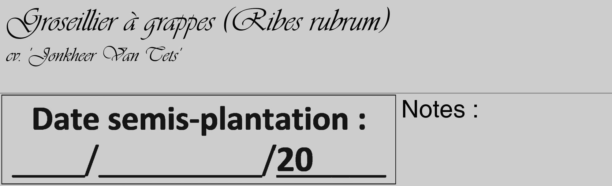 Étiquette de : Ribes rubrum cv. 'Jonkheer Van Tets' - format c - style noire41_basique_basiqueviv avec comestibilité