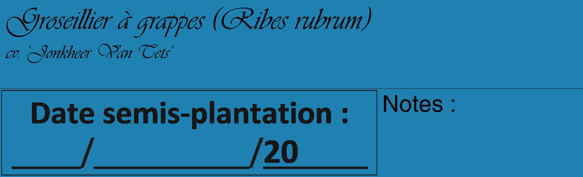 Étiquette de : Ribes rubrum cv. 'Jonkheer Van Tets' - format c - style noire6_basique_basiqueviv avec comestibilité