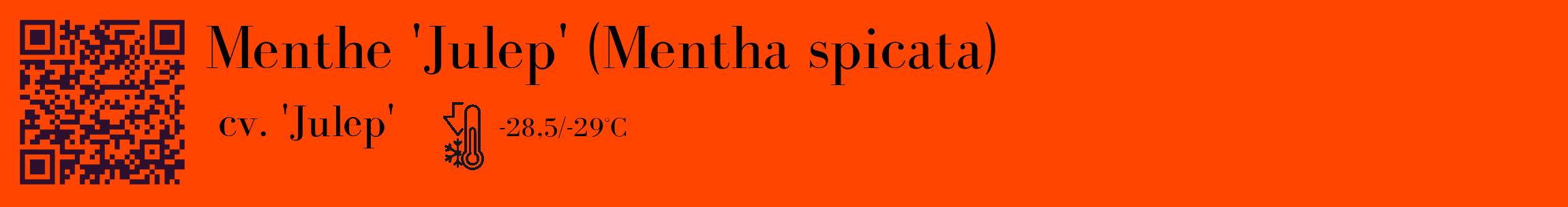 Étiquette de : Mentha spicata cv. 'Julep' - format c - style noire26_basique_basiquebod avec qrcode et comestibilité