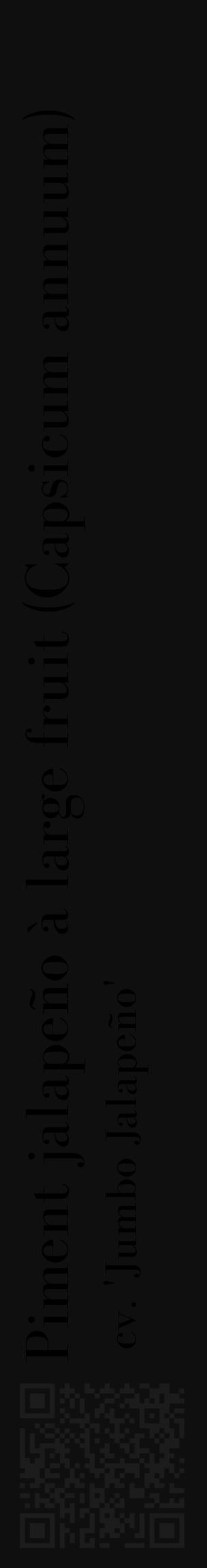 Étiquette de : Capsicum annuum cv. 'Jumbo Jalapeño' - format c - style noire7_basique_basiquebod avec qrcode et comestibilité - position verticale