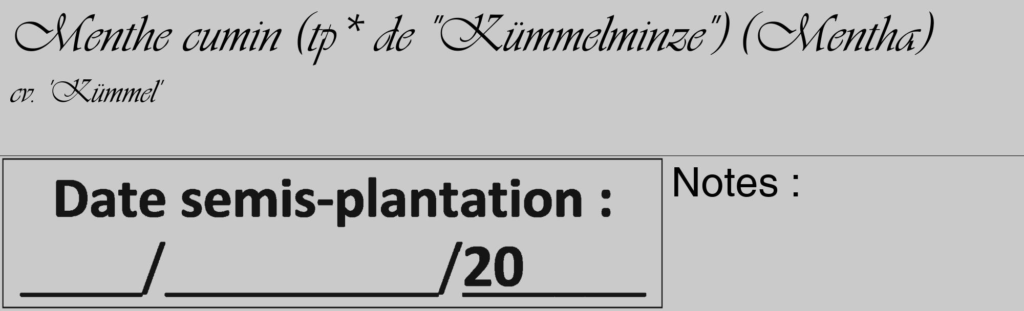 Étiquette de : Mentha cv. 'Kümmel' - format c - style noire21basique_basique_basiqueviv avec comestibilité