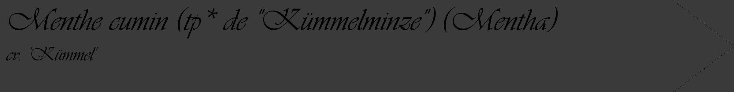 Étiquette de : Mentha cv. 'Kümmel' - format c - style noire8_simple_simpleviv avec comestibilité
