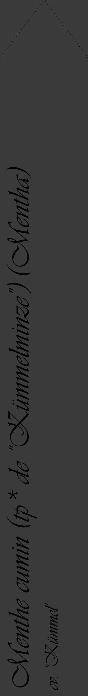Étiquette de : Mentha cv. 'Kümmel' - format c - style noire8_simple_simpleviv avec comestibilité - position verticale