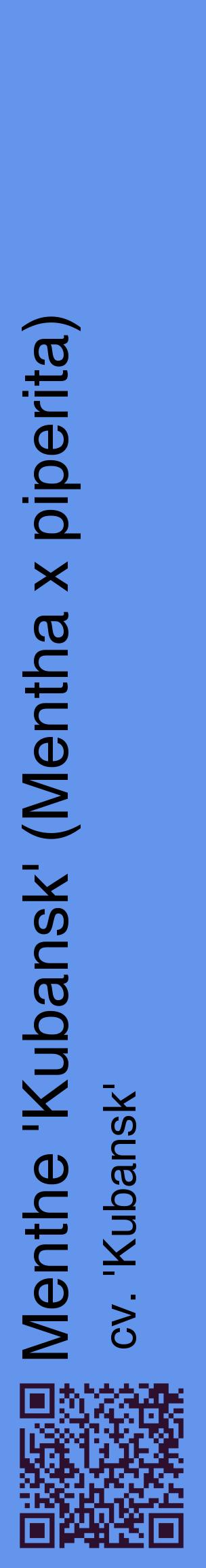 Étiquette de : Mentha x piperita cv. 'Kubansk' - format c - style noire4_basiquehel avec qrcode et comestibilité