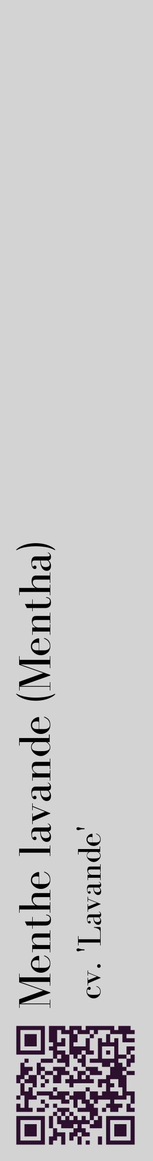 Étiquette de : Mentha cv. 'Lavande' - format c - style noire56_basiquebod avec qrcode et comestibilité