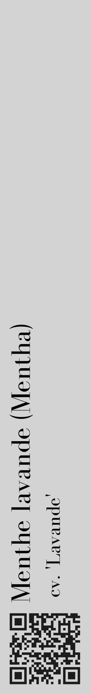 Étiquette de : Mentha cv. 'Lavande' - format c - style noire56_basique_basiquebod avec qrcode et comestibilité - position verticale