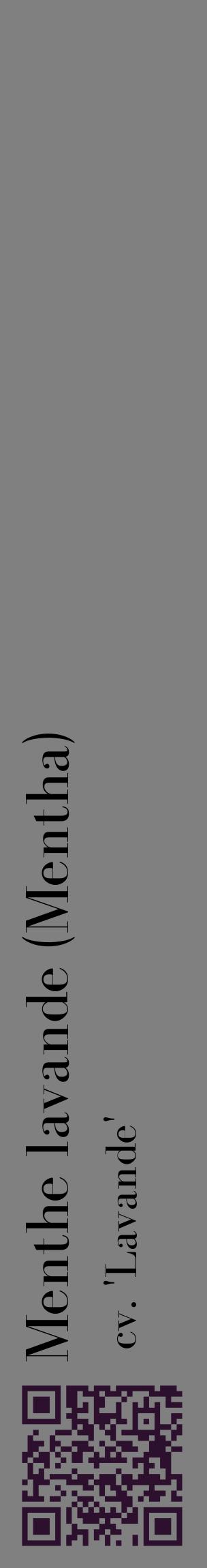 Étiquette de : Mentha cv. 'Lavande' - format c - style noire57_basiquebod avec qrcode et comestibilité
