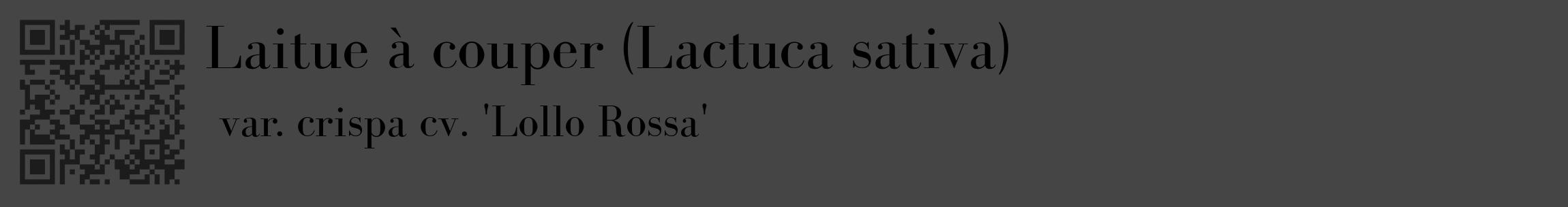 Étiquette de : Lactuca sativa var. crispa cv. 'Lollo Rossa' - format c - style noire58_basique_basiquebod avec qrcode et comestibilité