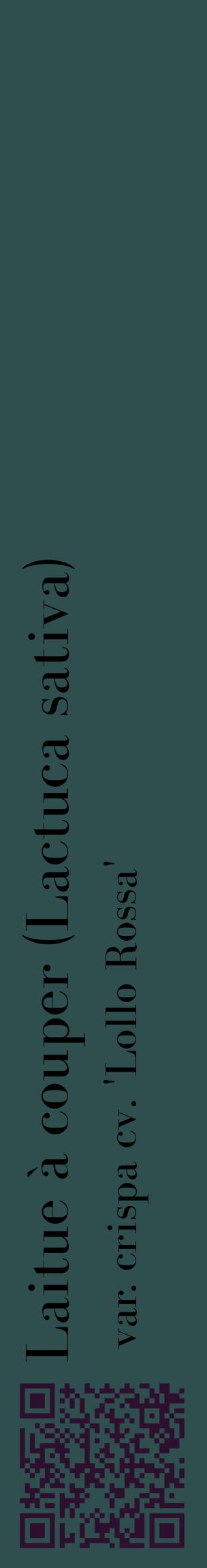 Étiquette de : Lactuca sativa var. crispa cv. 'Lollo Rossa' - format c - style noire58_basiquebod avec qrcode et comestibilité